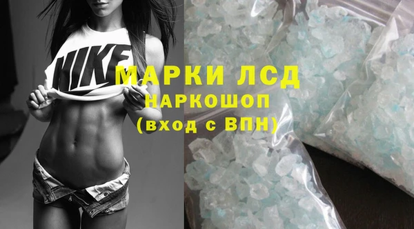 эйфоретик Арсеньев