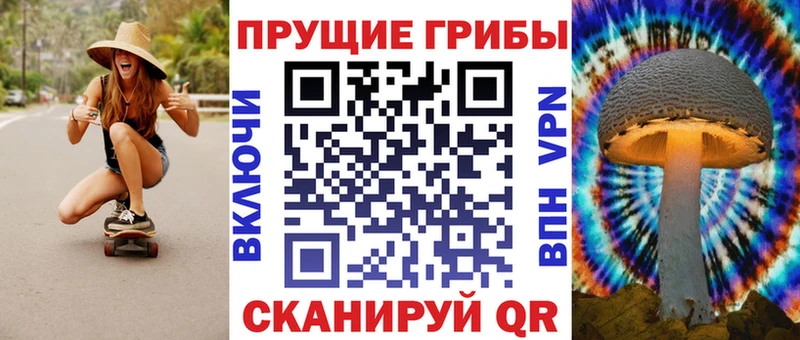 кракен как войти  цена наркотик  Хотьково  Псилоцибиновые грибы прущие грибы 